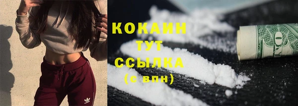 стаф Вязники