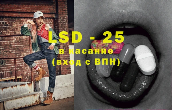 стаф Вязники
